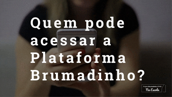 Quem pode acessar a Plataforma Brumadinho