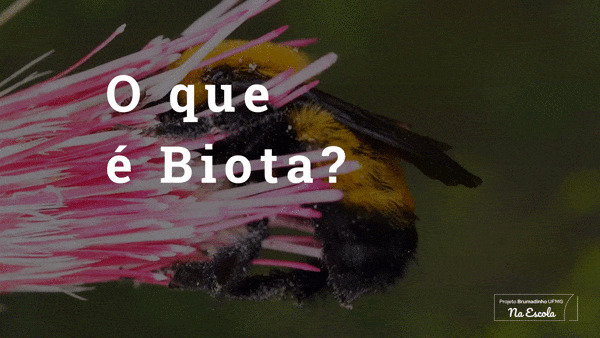 biota